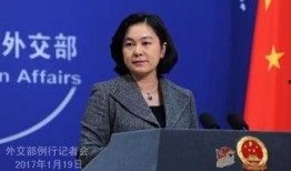 刘振最新爆料新闻视频,揭秘事件背后惊人内幕