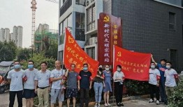 车城最新爆料新闻视频,揭秘汽车行业重大新闻视频背后的真相