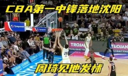 辽宁爆料假球视频最新消息,揭秘球场黑幕，真相即将揭晓