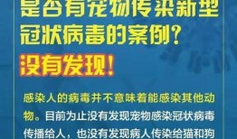 热线爆料解说文案大全最新,最新文案大全背后的故事与启示