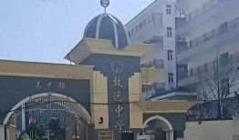 最新爆料致远中学事件是真的吗,最新爆料真相揭秘