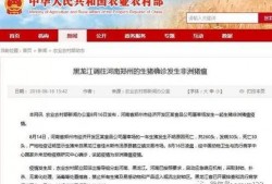 八村最新爆料消息新闻报道,揭秘幕后真相，独家报道引热议”