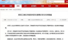 八村最新爆料消息新闻报道,揭秘幕后真相，独家报道引热议”