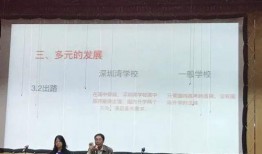 深圳南山小尹最新爆料,揭秘行业内幕，带你走进真实南山